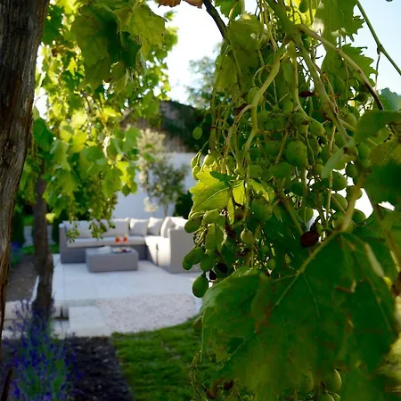 Das Seehaus By Lilianfeld